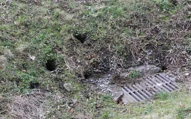 Zásah proti potkanům v Olomouci. Hygienici zdůrazňují zásady pro lepší výsledek