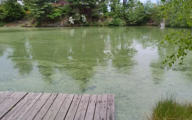 Voda na Plumlově a na Poděbradech je v pořádku. Sinice jsou ovšem v jezírku u Dalova