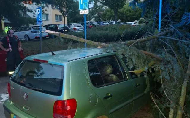 Silné bouřky potrápily Šumpersko. Hasiči zasahují hlavně u popadaných stromů