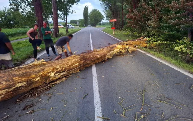 Silné bouřky potrápily Šumpersko. Hasiči zasahují hlavně u popadaných stromů