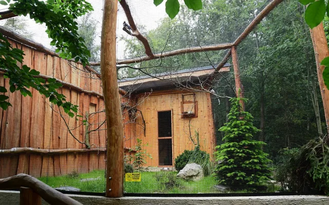 Sýc či kraska. Zoo na Svatém Kopečku otevřela nové voliéry pro chladnomilné ptáky