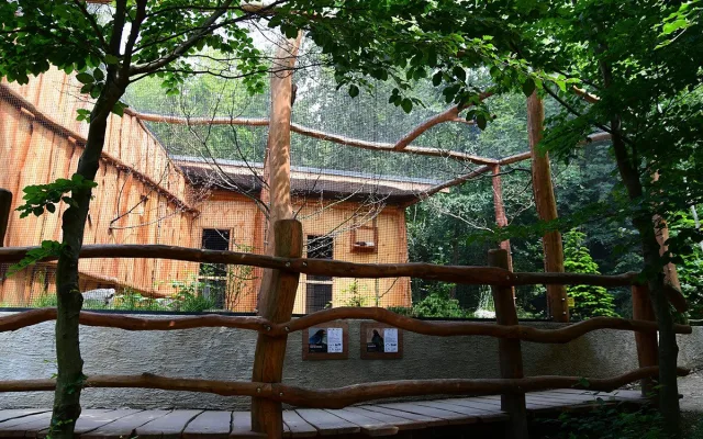 Sýc či kraska. Zoo na Svatém Kopečku otevřela nové voliéry pro chladnomilné ptáky