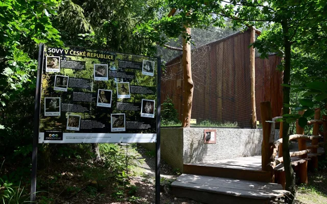 Sýc či kraska. Zoo na Svatém Kopečku otevřela nové voliéry pro chladnomilné ptáky