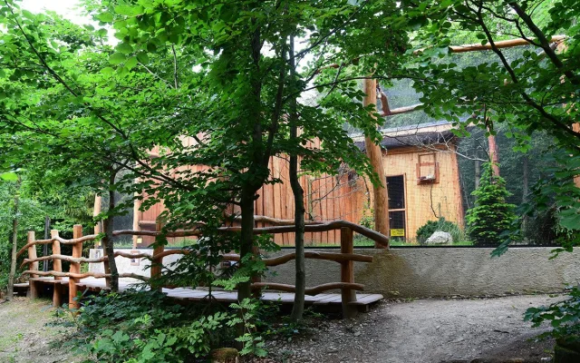 Sýc či kraska. Zoo na Svatém Kopečku otevřela nové voliéry pro chladnomilné ptáky