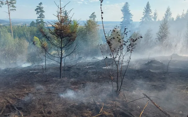 U Bludova hoří les. Zasahuje i vrtulník a dron s termokamerou