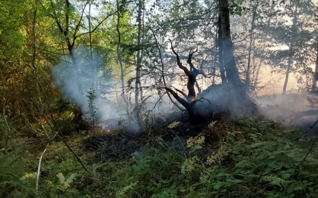 U Bludova hoří les. Zasahuje i vrtulník a dron s termokamerou