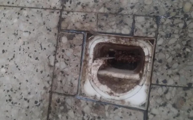Inspektoři zavřeli restauraci v lázeňské obci Skalka. Uvnitř našli špínu a mrtvé hlodavce