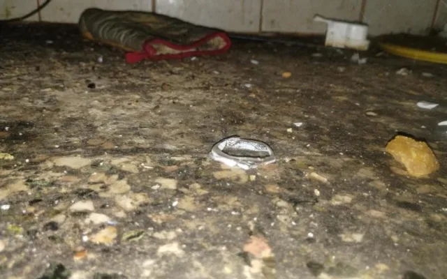 Inspektoři zavřeli restauraci v lázeňské obci Skalka. Uvnitř našli špínu a mrtvé hlodavce