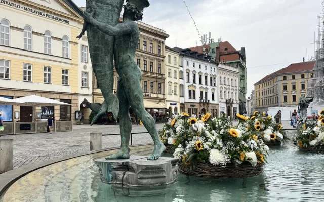 U želv plují květinové kruhy. Arionova kašna v Olomouci ožila atraktivní úpravou