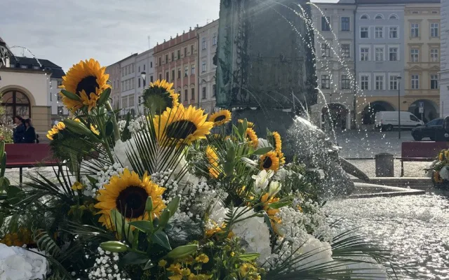 U želv plují květinové kruhy. Arionova kašna v Olomouci ožila atraktivní úpravou