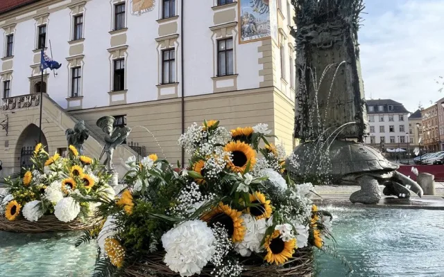 U želv plují květinové kruhy. Arionova kašna v Olomouci ožila atraktivní úpravou