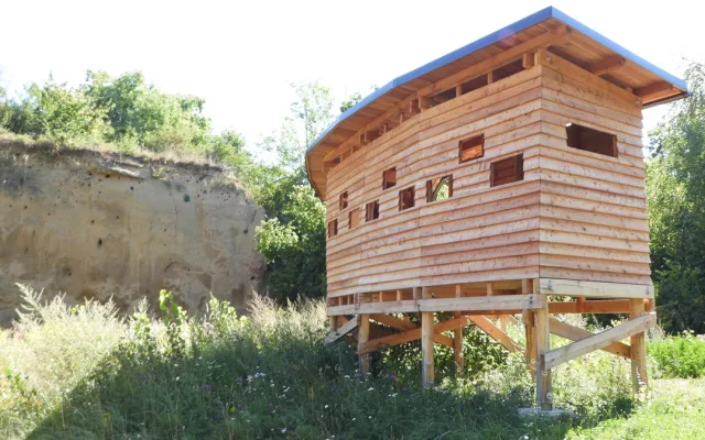 Léto se blíží ke konci. Do teplých krajin odlétají i vlhy pestré