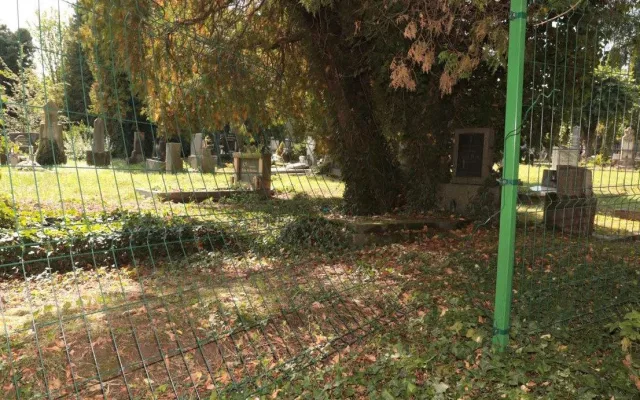 Hyena na hřbitově v Olomouci, pět desítek poničených nebo otevřených hrobů. Ničema hledal cennosti