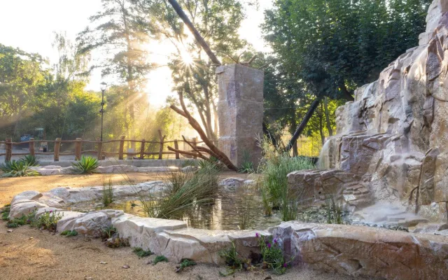 Největší dravci světa v olomoucké zoo. Kondoři mají novou voliéru