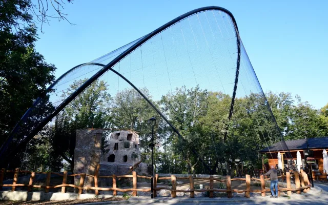 Největší dravci světa v olomoucké zoo. Kondoři mají novou voliéru