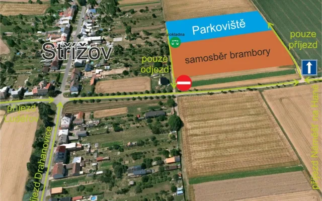 Počasí se umoudřilo. Samosběr brambor, cibule a mrkve u Ludéřova zítra startuje