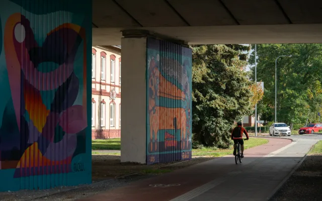 Mostní pilíř, skatepark, nebo Tržnice. Street Art Festival ozdobil Olomouc