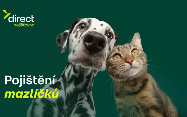 Pes spadl z gauče. Účet od veterináře vás překvapí