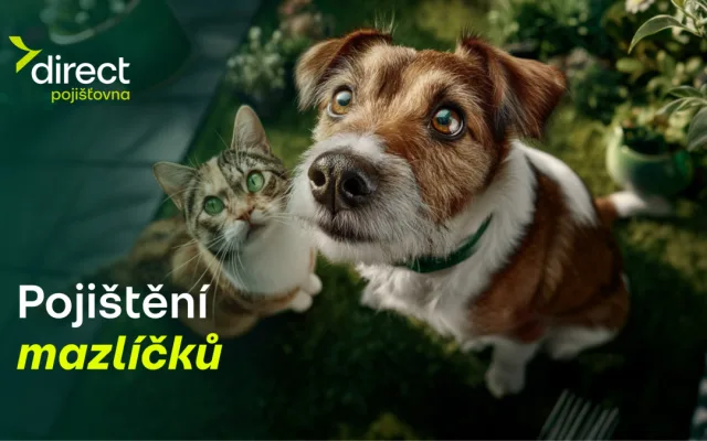 Pes spadl z gauče. Účet od veterináře vás překvapí