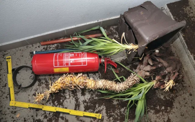 Procházel Jeseníkem a ničil vše, na co narazil. Auta, popelnice, dveře, polámal i květiny