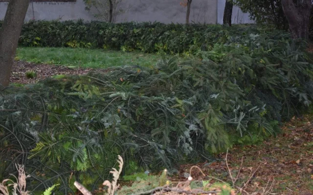 Obyvatelé Víceměřic vytvořili obří adventní věnec, dílo míří do knihy