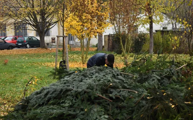 Obyvatelé Víceměřic vytvořili obří adventní věnec, dílo míří do knihy
