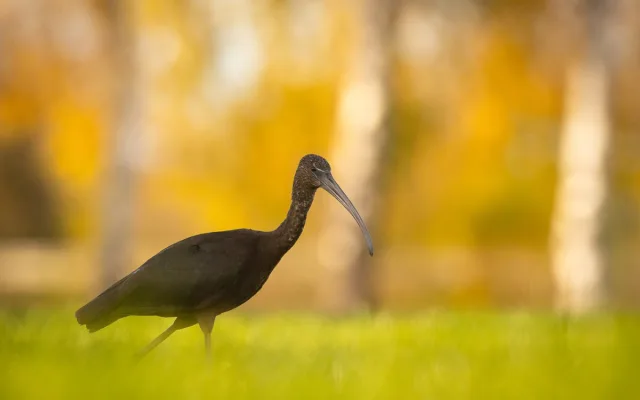 foto Robert Adamec 1