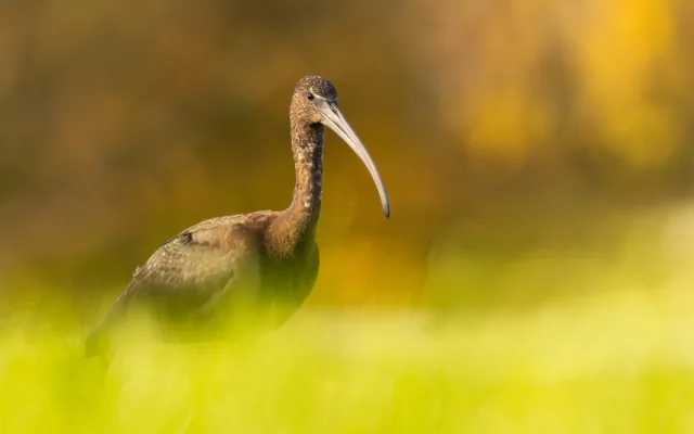 foto Robert Adamec 3