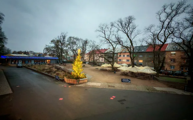 Vánoční strom nazvaný KOKOS na okraji olomouckého parku za pavilonem A Výstaviště Flora