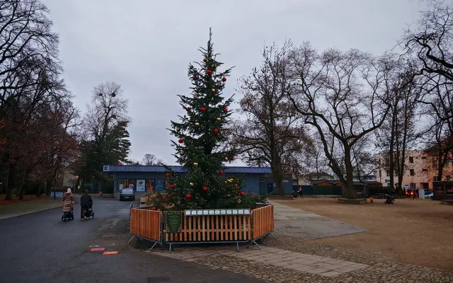Vánoční strom nazvaný KOKOS na okraji olomouckého parku za pavilonem A Výstaviště Flora