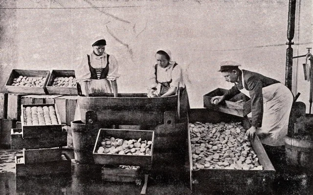 Střípky z historie. Olomoucké tvarůžky si letos připomínají 150 let od zahájení výroby v Lošticích