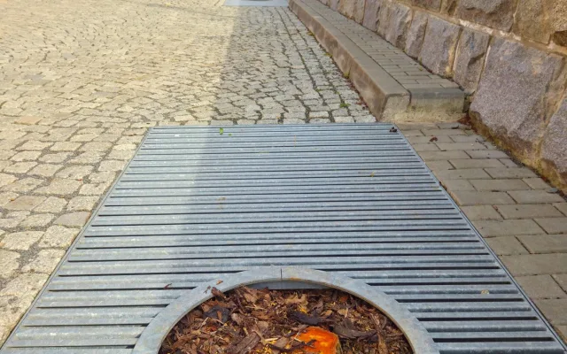 Kácení mladých stromů na náplavce vzbudilo bouři. Měly plíseň, vysadíme nové, tvrdí Olomouc