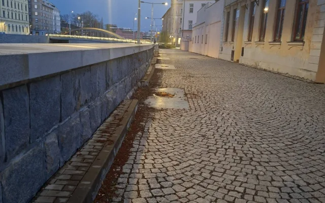 Kácení mladých stromů na náplavce vzbudilo bouři. Měly plíseň, vysadíme nové, tvrdí Olomouc