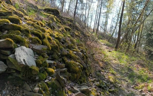 TIP NA VÝLET: Nová turistická stezka u Běleckého mlýna překvapí. Nabízí monumentální sochy i rozhlednu