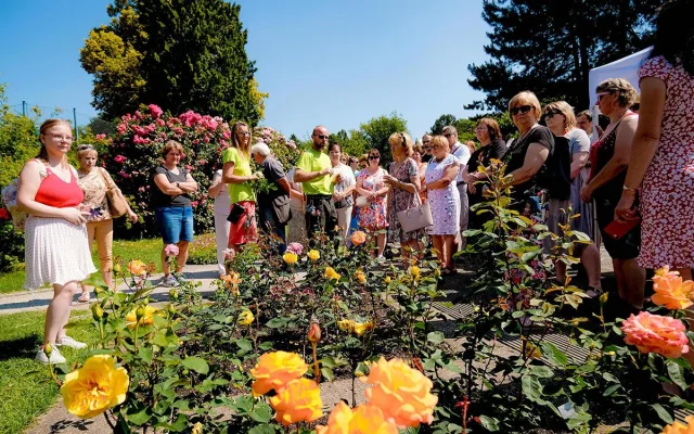 Festival Vyznání růžím v Olomouci