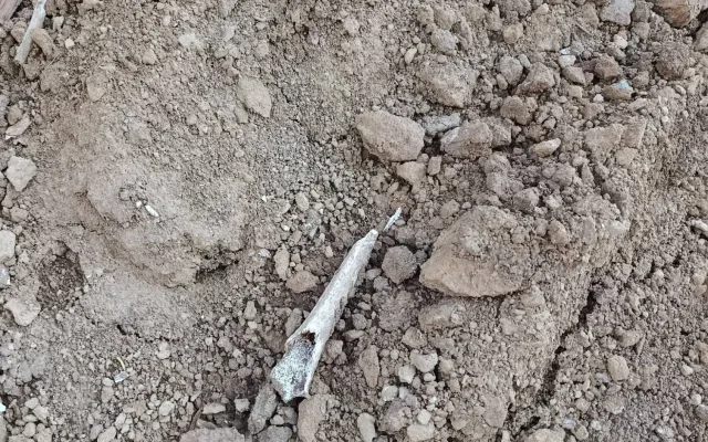 Dělníci při opravách hřbitova na Šumpersku vykopali lidské kosti. Pietu dodržíme, ubezpečuje firma