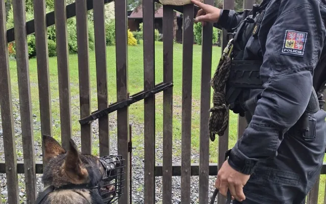 Tříměsíční policejní štěně poprvé v akci. Strážci zákona kontrolovali na Šumpersku chaty a chalupy