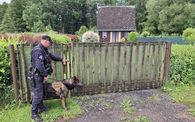Tříměsíční policejní štěně poprvé v akci. Strážci zákona kontrolovali na Šumpersku chaty a chalupy