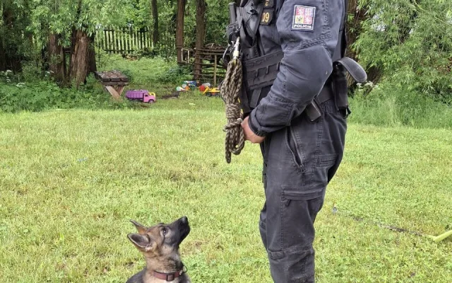 Tříměsíční policejní štěně poprvé v akci. Strážci zákona kontrolovali na Šumpersku chaty a chalupy