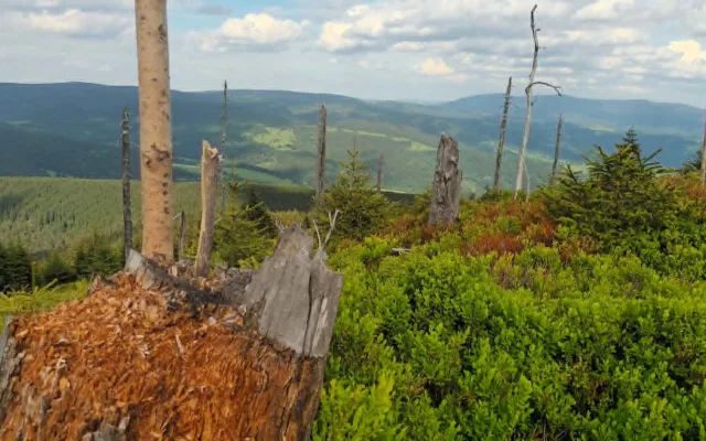 TIP NA VÝLET: Králický Sněžník dá zabrat, okouzlí i pobaví. Pramen Moravy ve vedrech osvěží