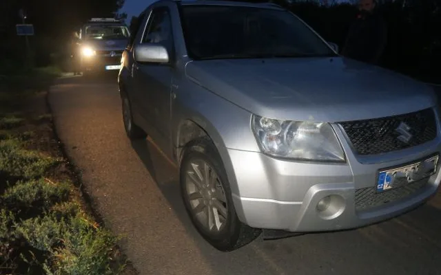 Řidič skočil nad ránem na Prostějovsku do cesty klokan. Havárii bohužel nepřežil