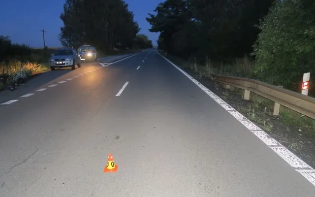 Řidič skočil nad ránem na Prostějovsku do cesty klokan. Havárii bohužel nepřežil