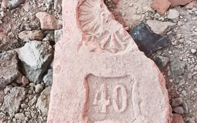 Tržnice