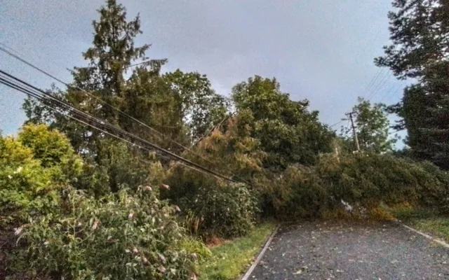 VIDEO: Kroupy i stržená fotovoltaika. Šumpersko zasáhla bouřková smršť