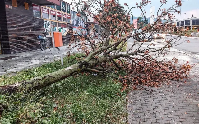 VIDEO: Kroupy i stržená fotovoltaika. Šumpersko zasáhla bouřková smršť