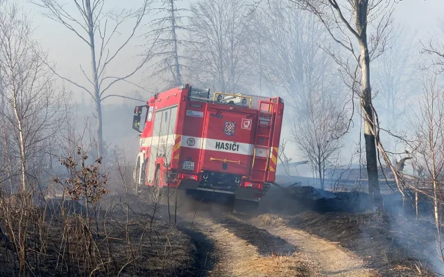 FOTOGALERIE: Lesní požár u Jívové