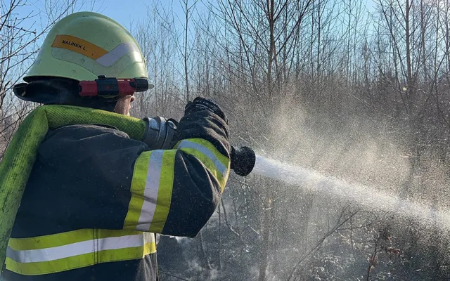 FOTOGALERIE: Lesní požár u Jívové