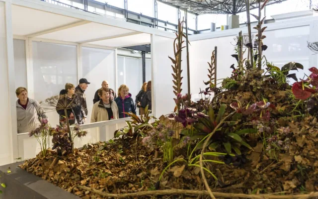 Výstaviště Flora po dvou letech ožilo jarní výstavou