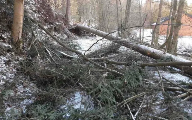 FOTOGALERIE: Hasiče zaměstnaly desítky komplikací způsobených silným větrem