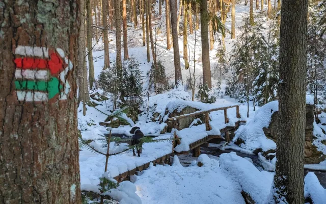 FOTOGALERIE: Procházka okolo zasněžených Rešovských vodopádů